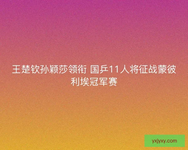 王楚钦孙颖莎领衔 国乒11人将征战蒙彼利埃冠军赛