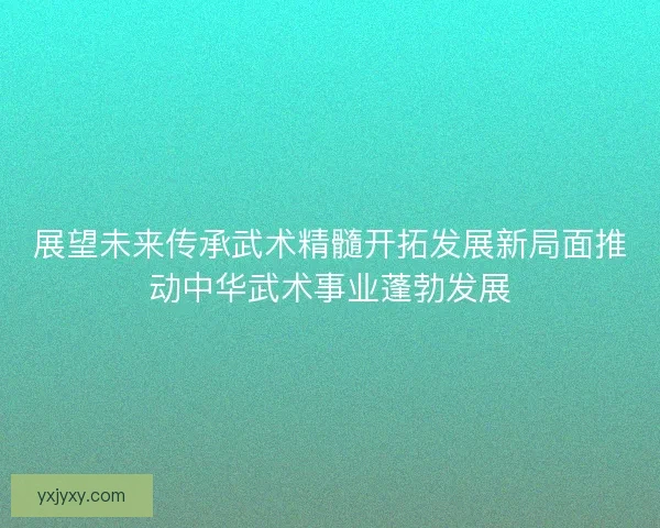 展望未来传承武术精髓开拓发展新局面推动中华武术事业蓬勃发展