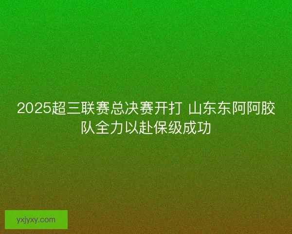 2025超三联赛总决赛开打 山东东阿阿胶队全力以赴保级成功 2025超三联赛总决赛开打 山东东阿阿胶队全力以赴保级成功